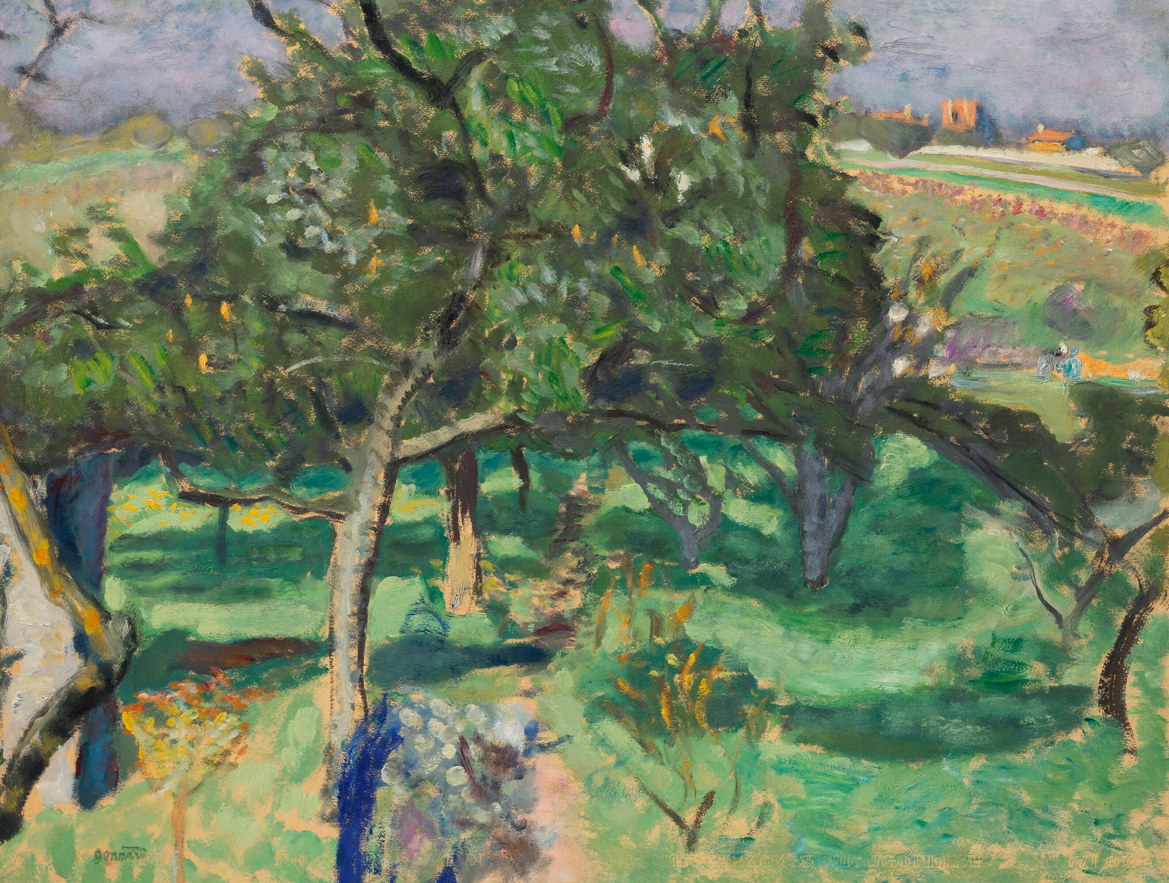 Paysage, arbres fruitiers